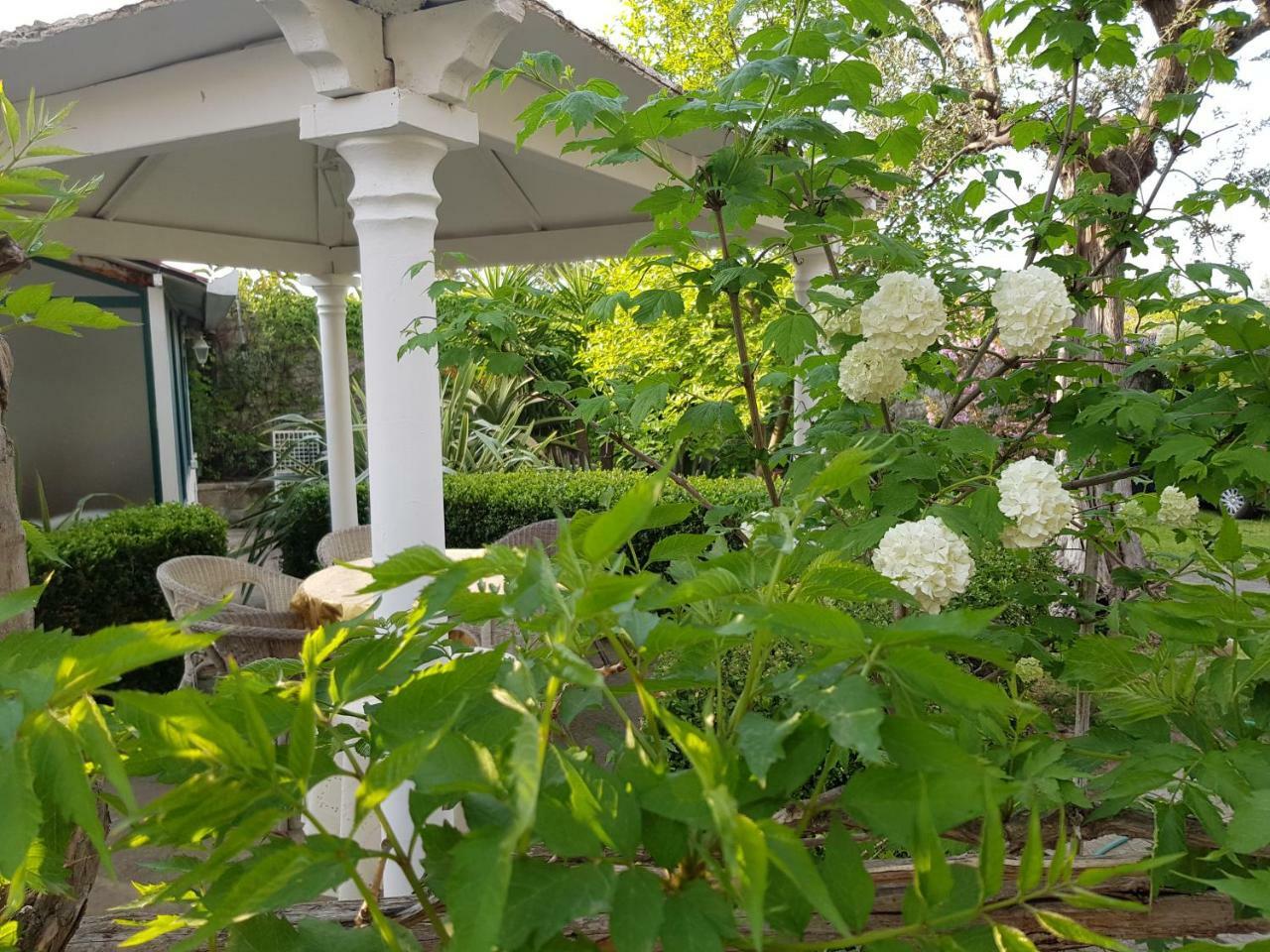Villa Kalimera Сорренто Экстерьер фото