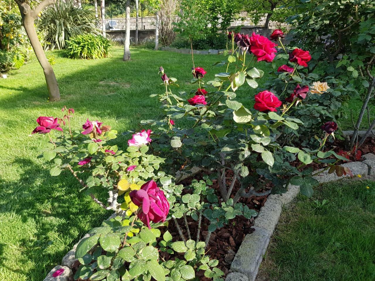 Villa Kalimera Сорренто Экстерьер фото