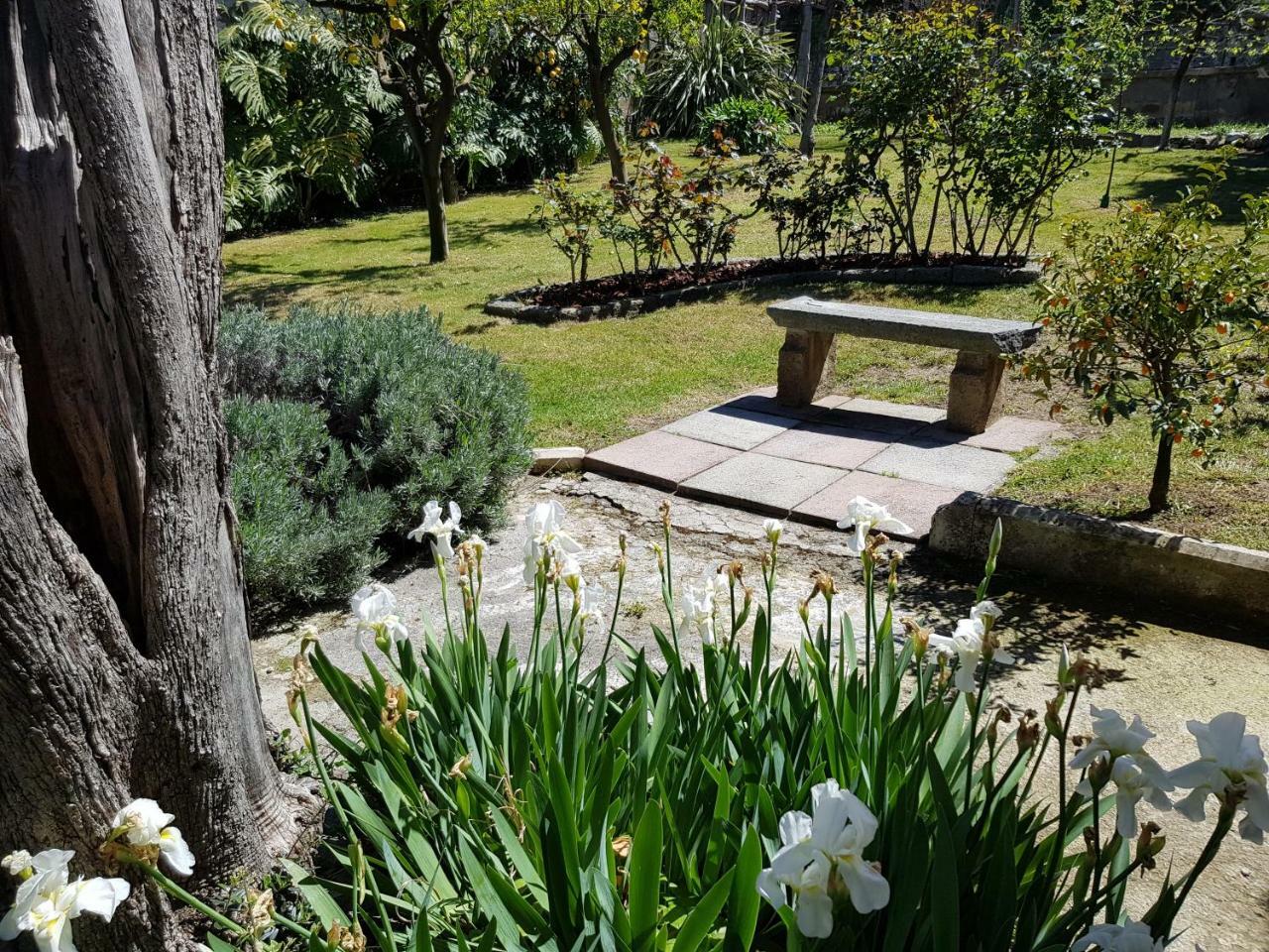 Villa Kalimera Сорренто Экстерьер фото