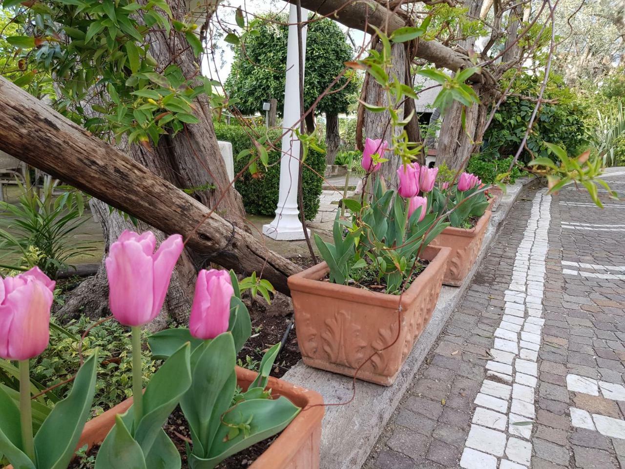 Villa Kalimera Сорренто Экстерьер фото